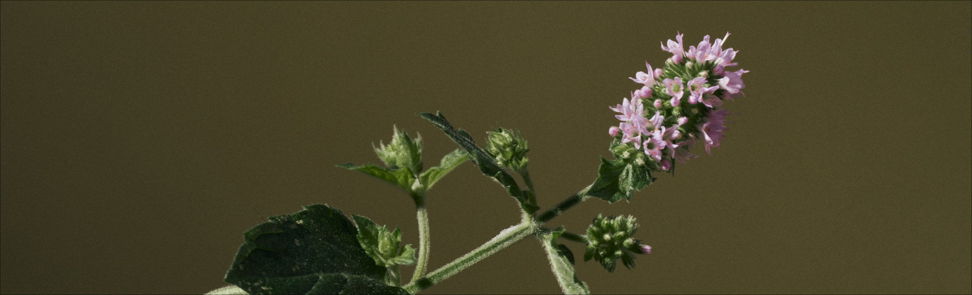 What we're exposed to matters - by Hillary Peterson