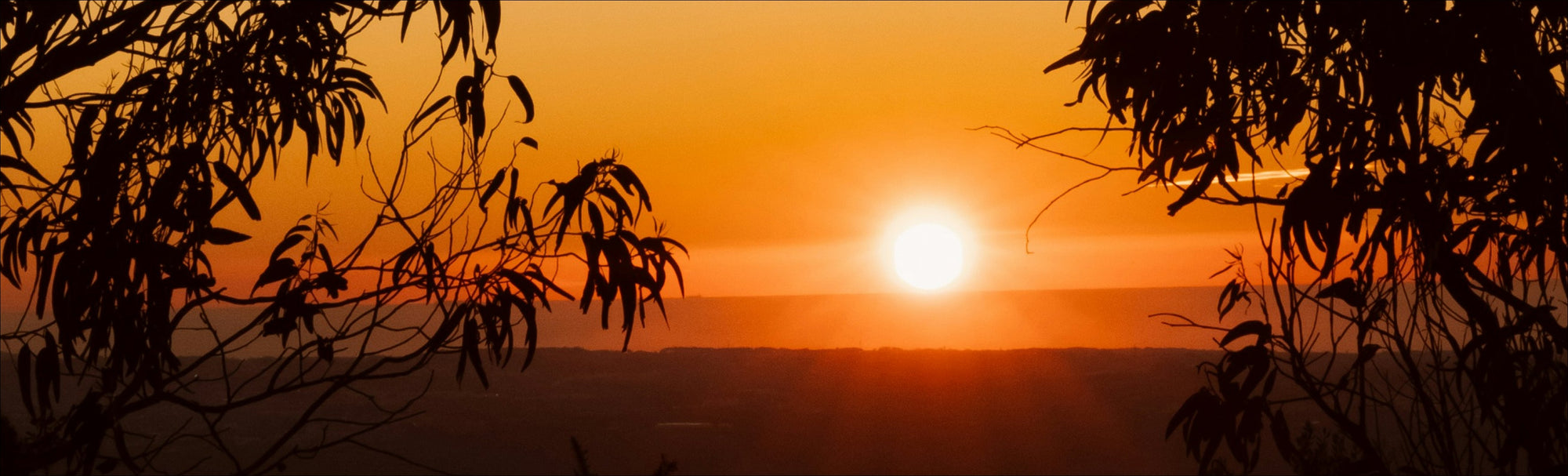 Morning, sunshine! What energises you at the beginning of the day?