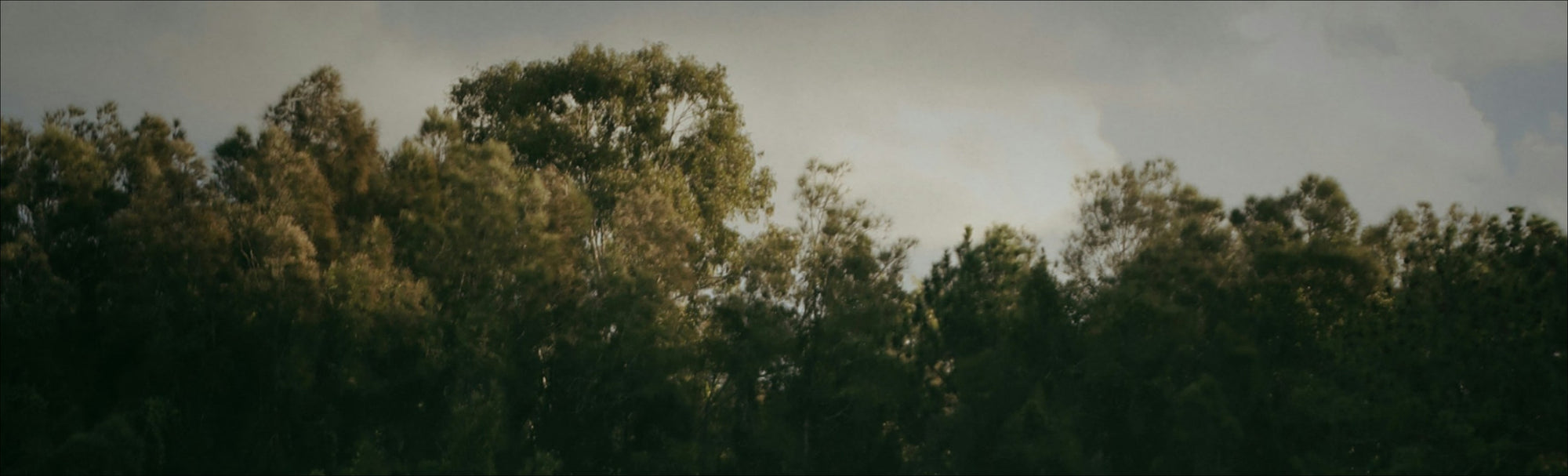 Is this one of the best ways to help protect our planet?