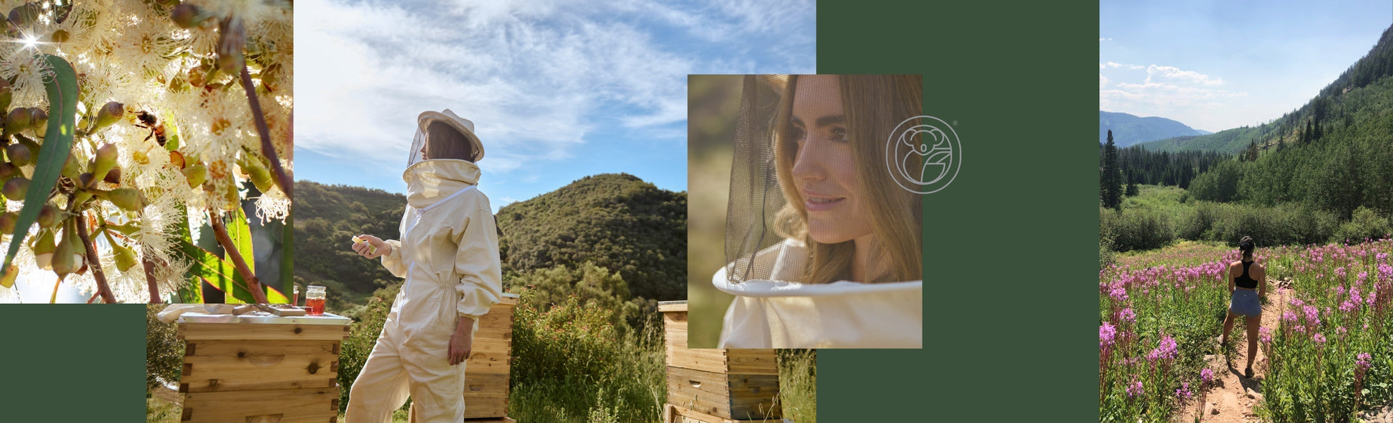 Rethinking Wellness Through the Wisdom of the Hive