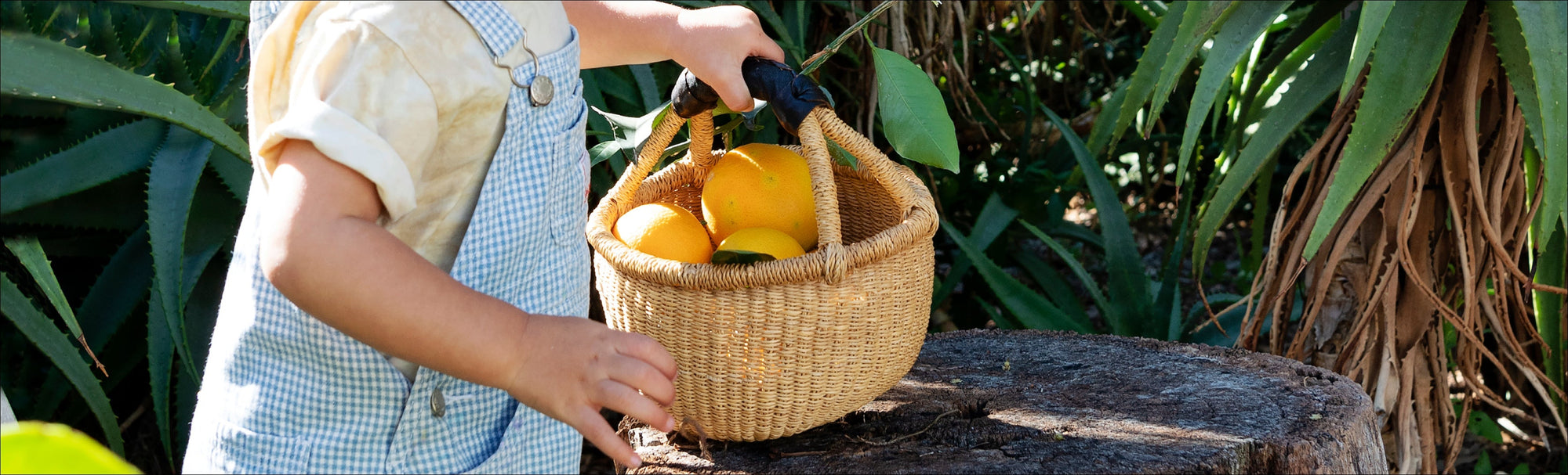 Where's the connection to nature?