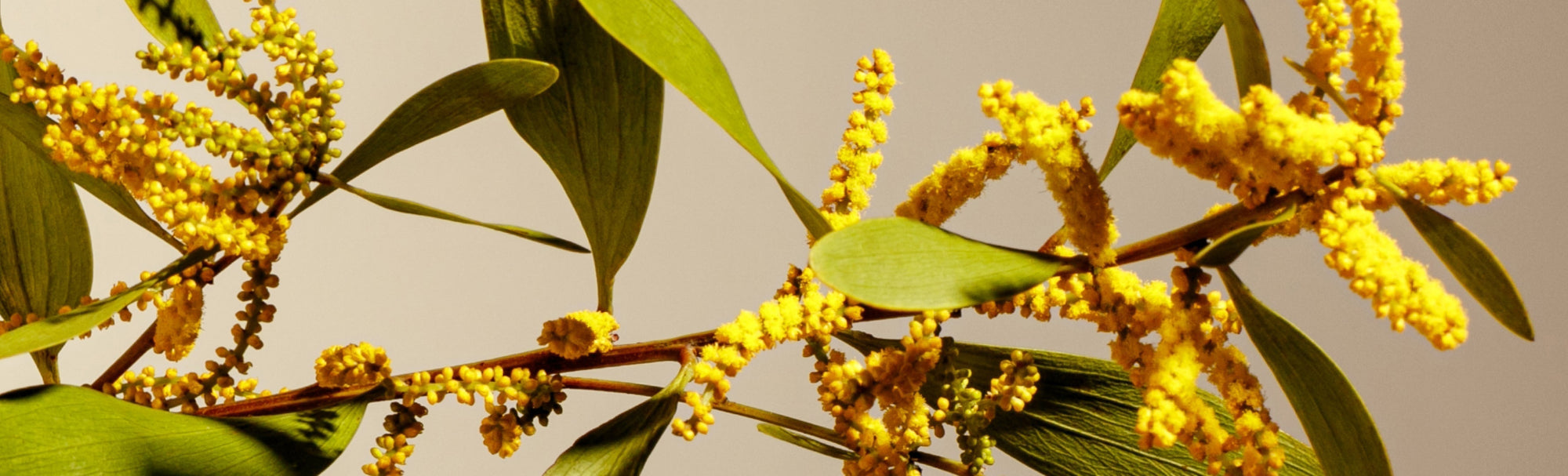 Conscious Garment Care