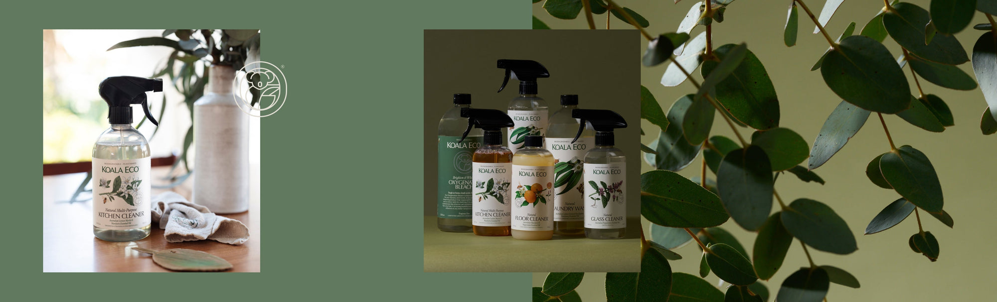 A Beginner's Guide to Koala Eco