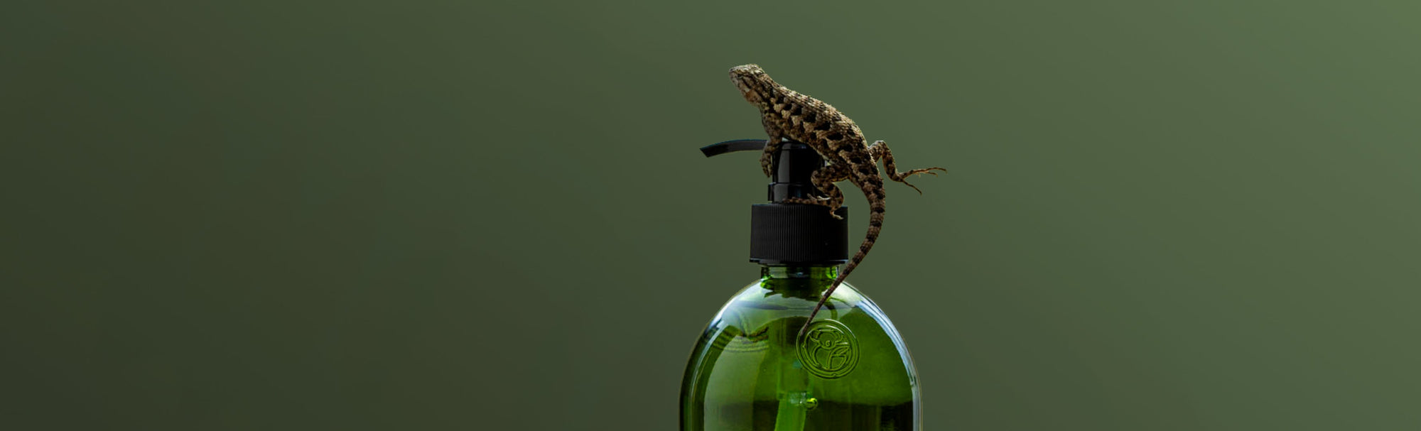 Following the Cruelty-Free Way