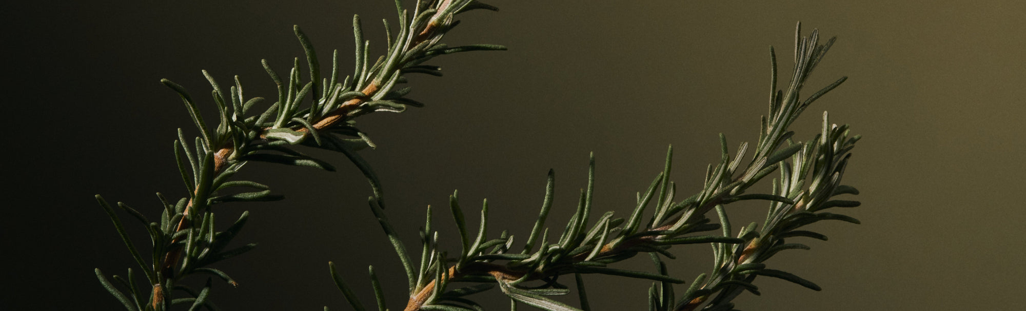 'Practicing' what they 'preach'