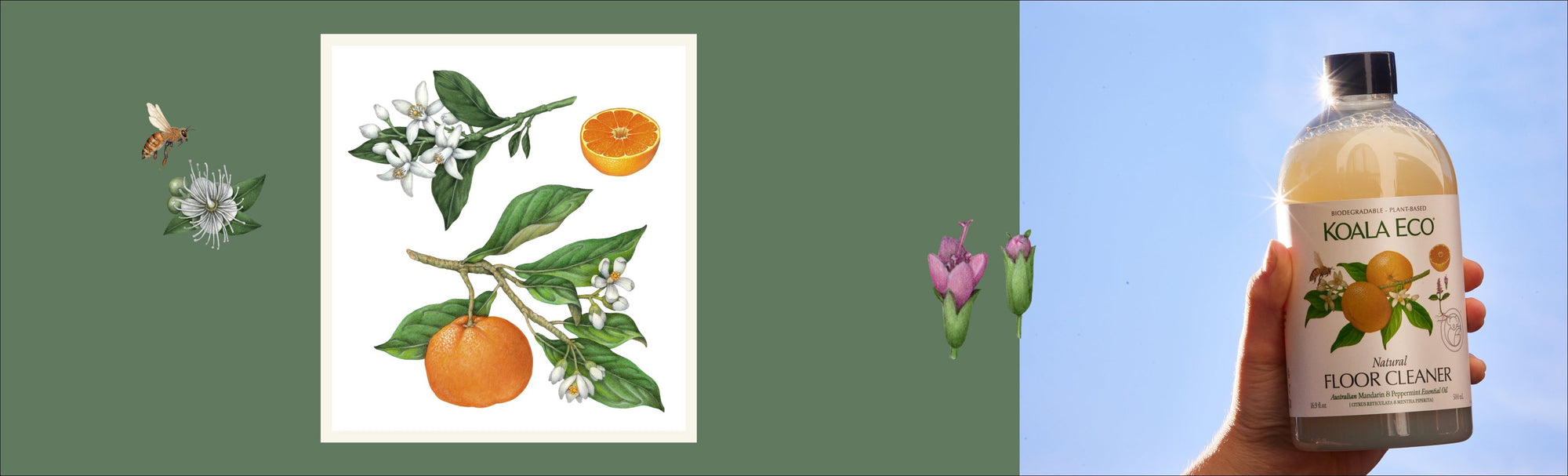 The Sunday Reset - Inspired by Mandarin [Citrus reticulata]