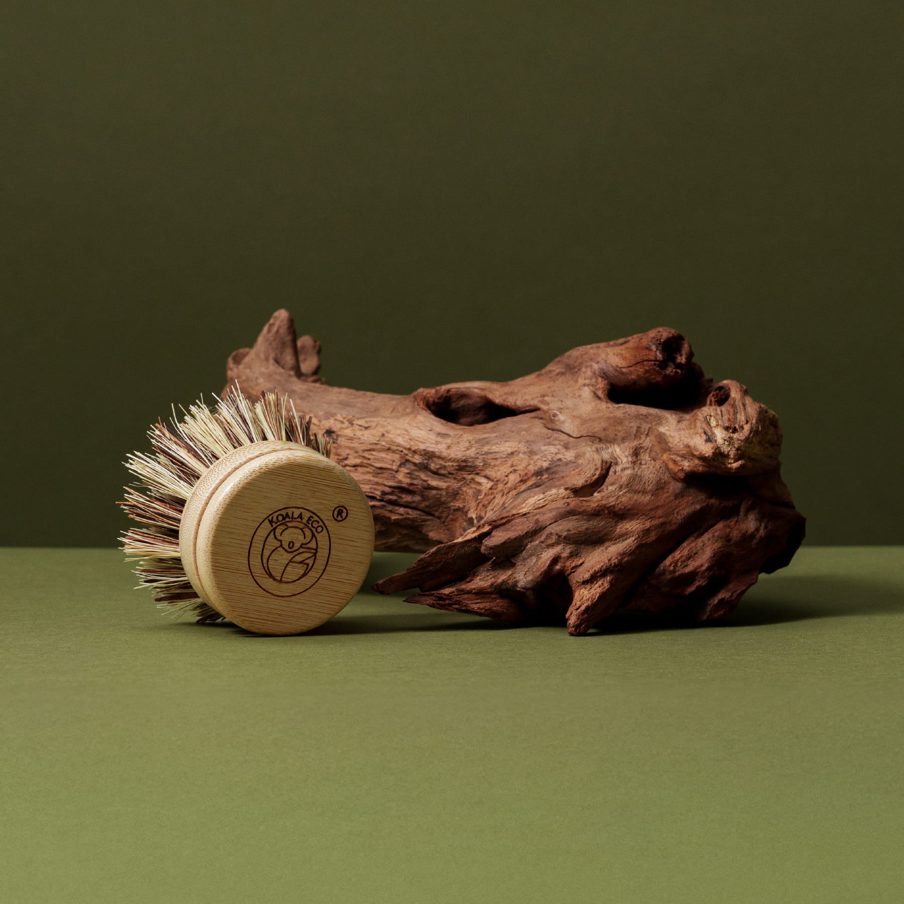 Traditional Dish Brush