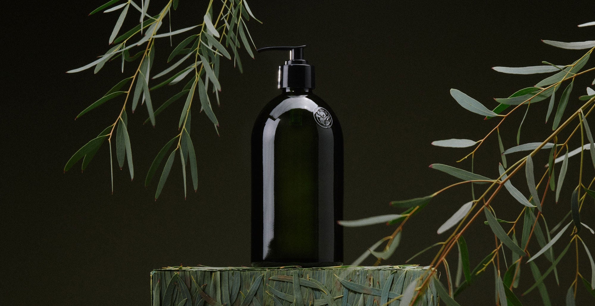 A dark amber glass bottle with a black pump dispenser sits centered on a textured dark green pedestal, surrounded by olive branches against a dark studio background.