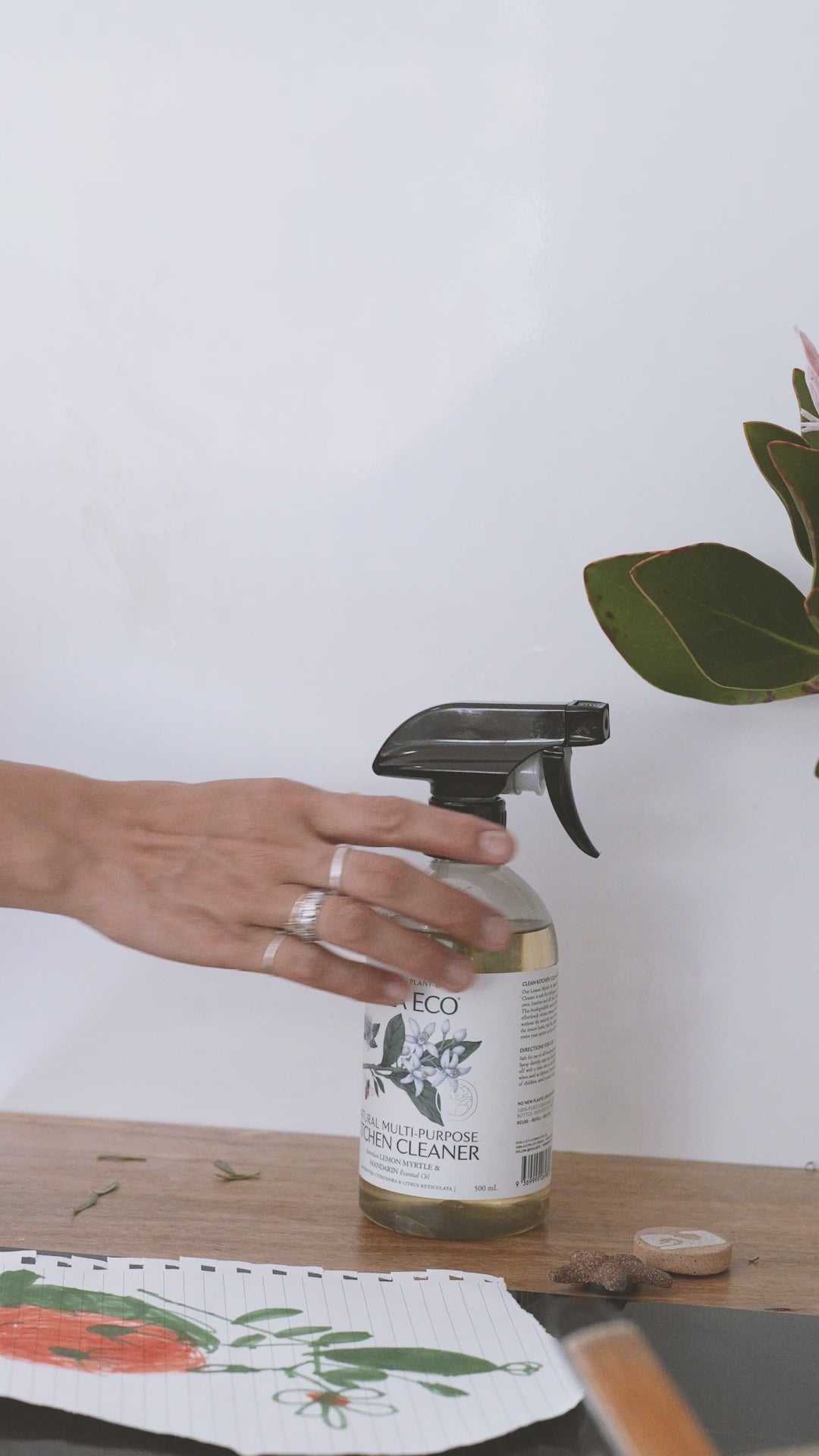 A woman cleaning countertops with koala Eco kitchen cleaner